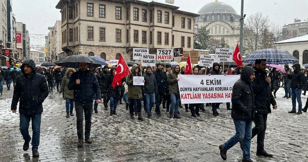 İstanbul'da hayvanseverlerden 'katliam yasası' protestosu - Son Bir Dakika