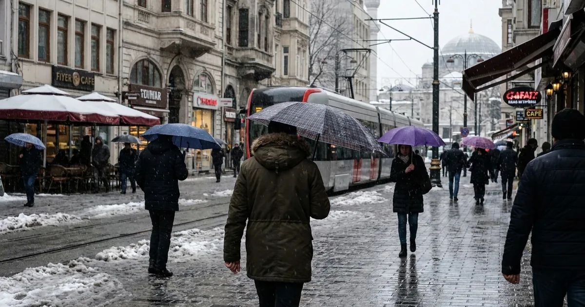 27 milyon metrekarelik alanın yüzde 93,7'si ormanlık - Son Bir Dakika