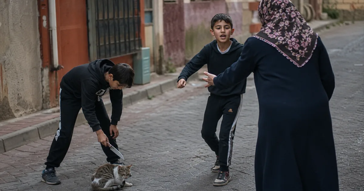 Esenler'de Çocuklar Kediyi Bıçakladı, Kadını Tehdit Etti