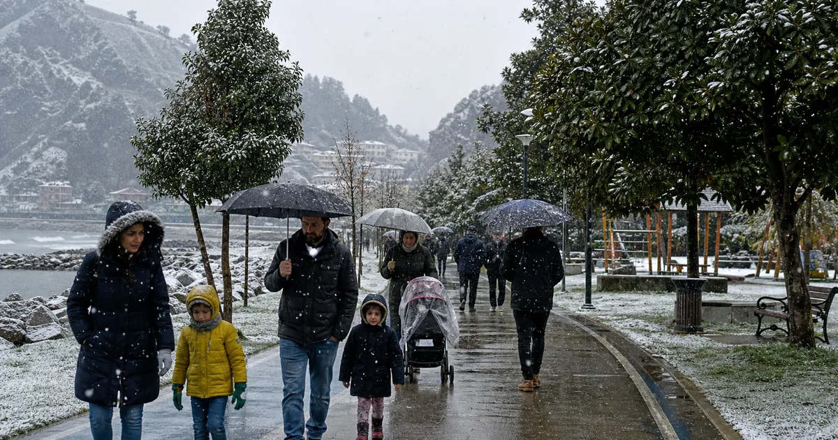 Hopa Sahili'ne 238 Bin Metrekarelik TIR Parkı Dolgusu Planı