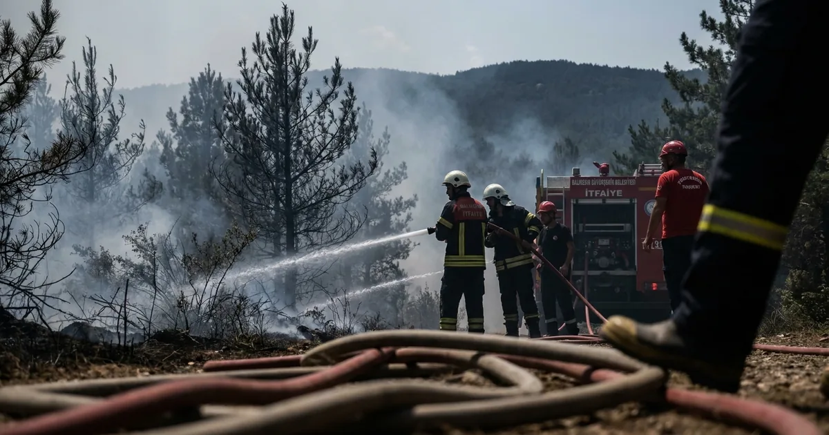 Balıkesir Sındırgı'daki orman yangını kontrol altına alındı - Son Bir Dakika