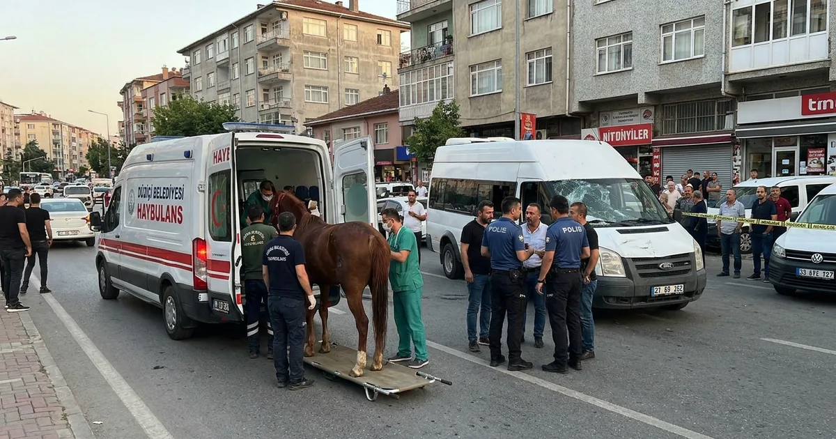 İstanbul'da 'Haybulans' Devrede: Minibüsün Çarptığı At Kurtarıldı - Son Bir Dakika