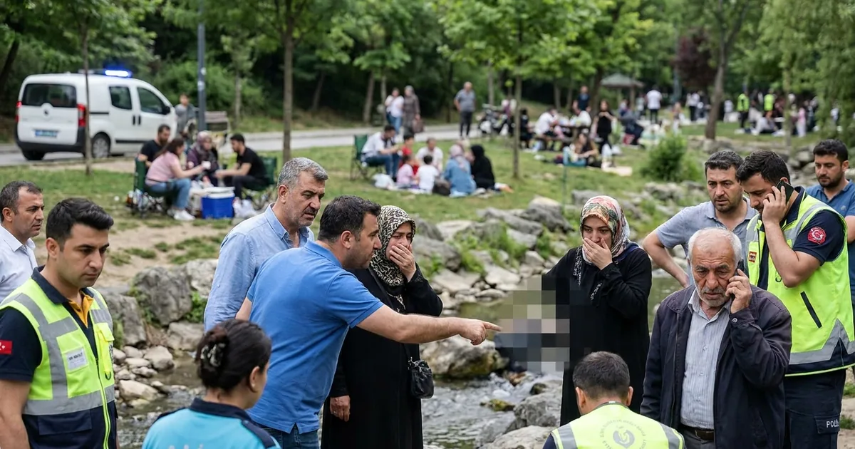 Mersin Erdemli’de piknik faciası: Dereye giren çocuk boğuldu - Son Bir Dakika