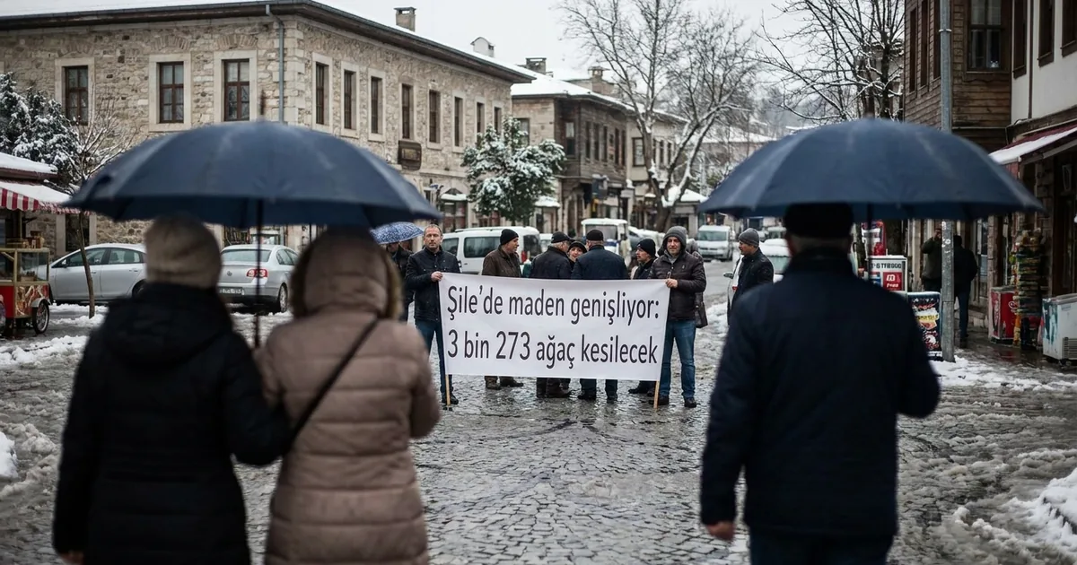 Şile'de maden genişliyor: 3 bin 273 ağaç kesilecek