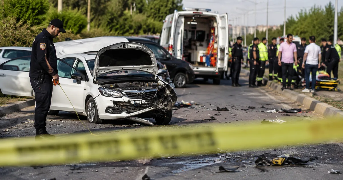 Milli sporcular Avrupa'da fırtına gibi esti